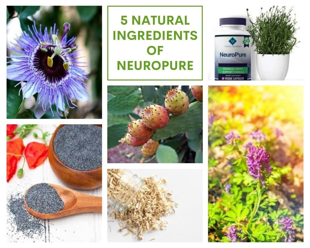 neuropure review