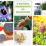 neuropure review